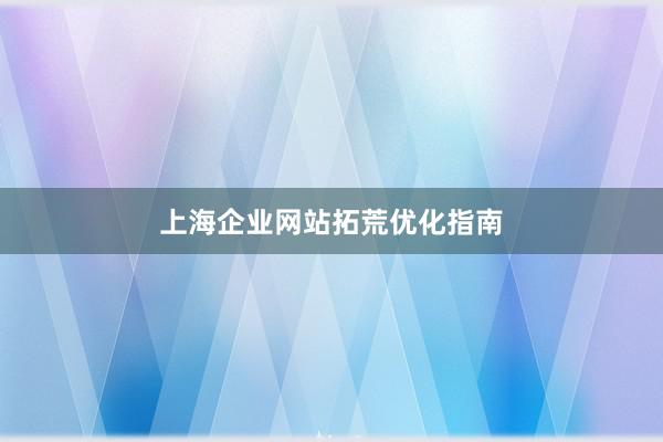 上海企业网站拓荒优化指南
